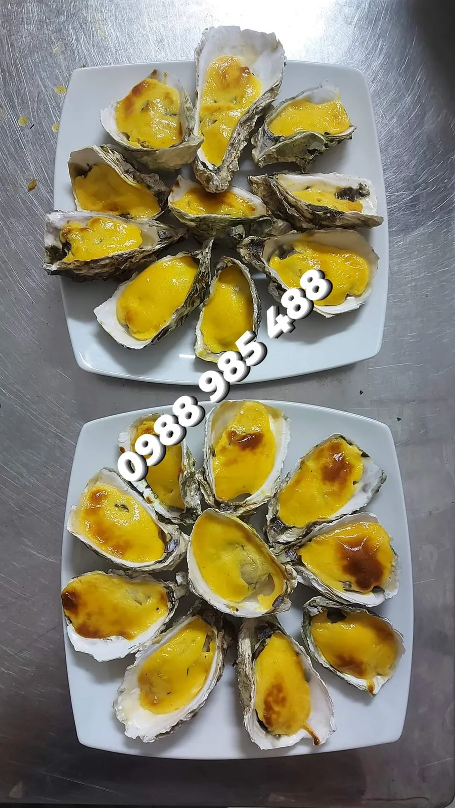 Hàu sữa sống – Đầm Nha Phu – Khánh Hòa