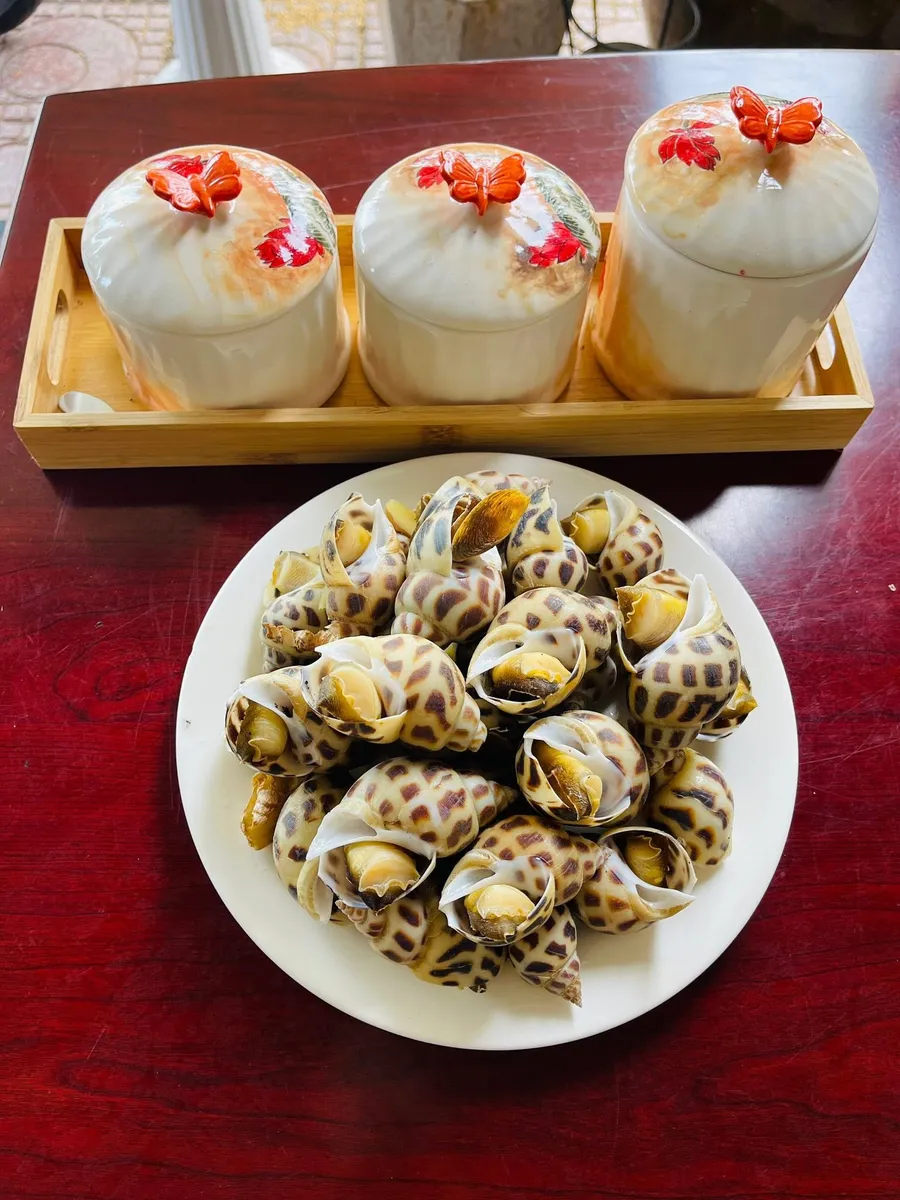 Ốc hương sống – Vạn Ninh – Cam Ranh (Khánh Hòa)