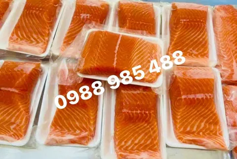 Cá hồi tươi (Na Uy) – Nhập khẩu Na Uy – nhà cung cấp Nha Trang
