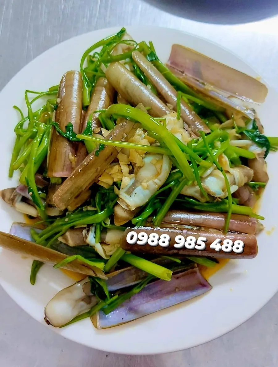Ốc móng tay sống – Vùng biển Khánh Hòa