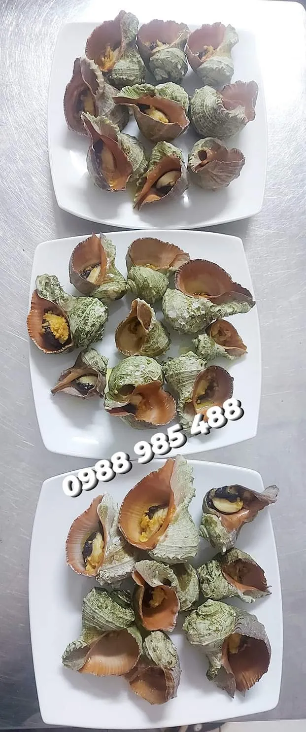 Ốc nhảy hấp sả – món hải sản nấu sẵn Thu Hoài, Nha Trang