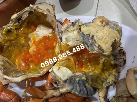 Cua gạch sống – Khánh Hòa – Cà Mau (theo mùa)